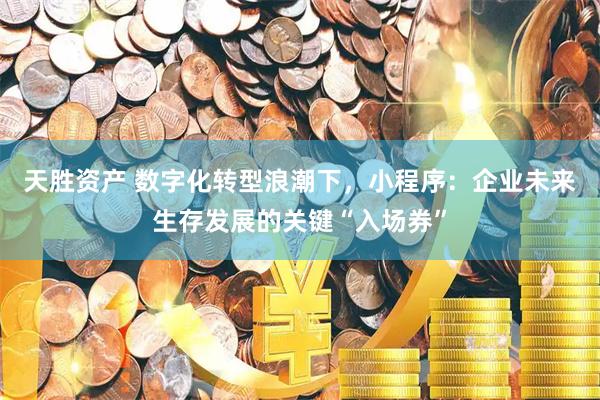 天胜资产 数字化转型浪潮下，小程序：企业未来生存发展的关键“入场券”
