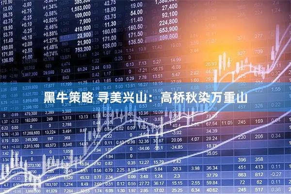 黑牛策略 寻美兴山：高桥秋染万重山